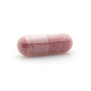 1060-1 Elderberry Extract 500MG
